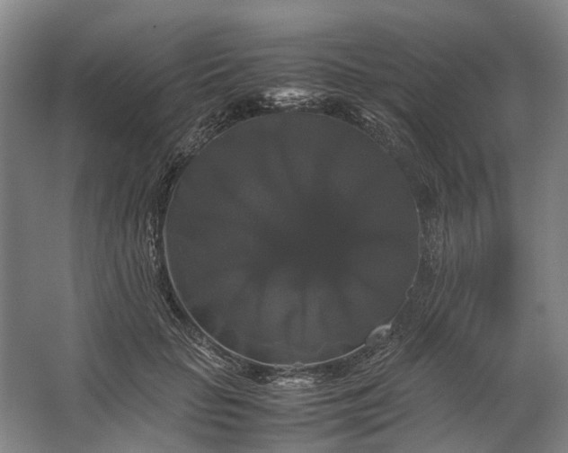 X0000062620653200601041006