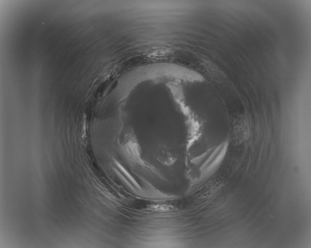 X0000062620654200601041006