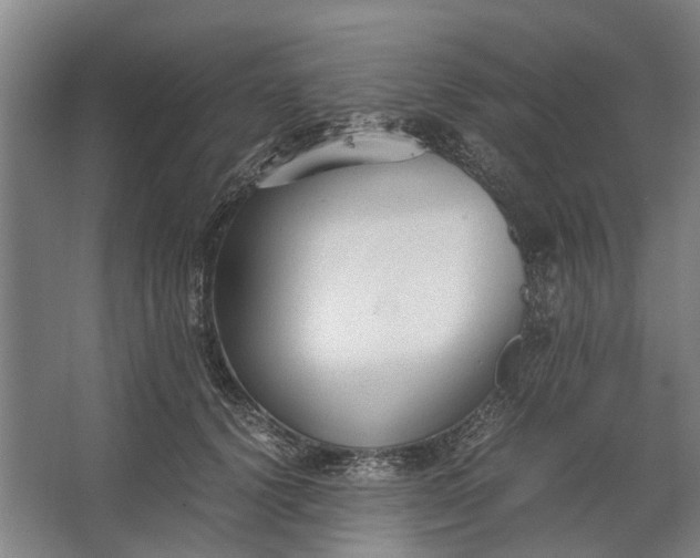 X0000062620656200601041006