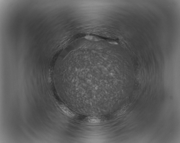 X0000062620658200601041006