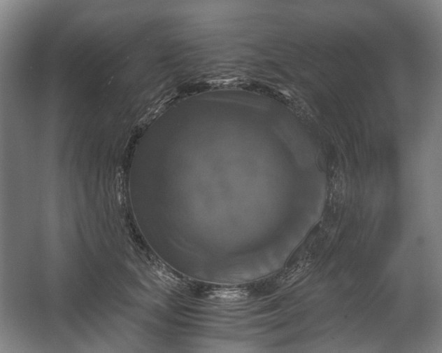 X0000062620659200601041006