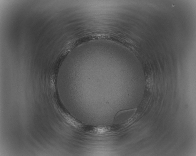 X0000062620662200601041006