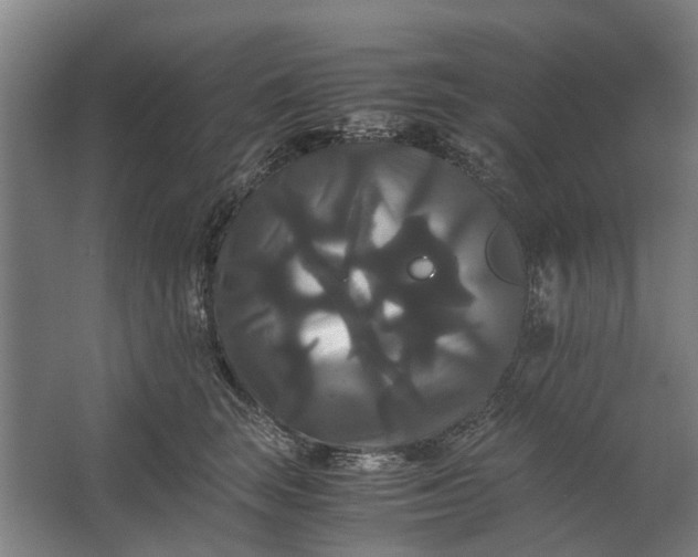 X0000062620663200601041006