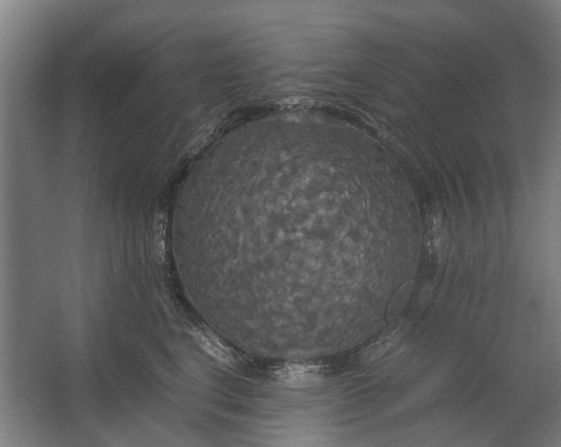 X0000062620664200601041006