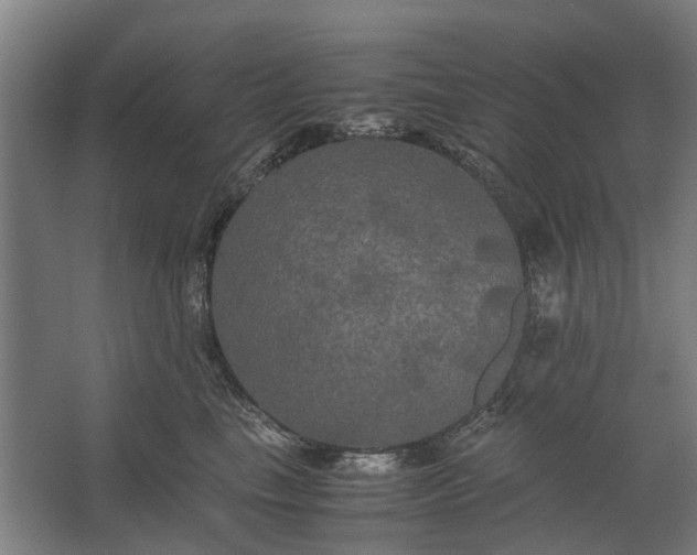 X0000062620665200601041006