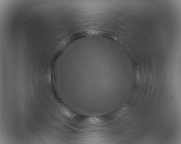 X0000062620668200601041007