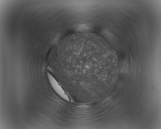 X0000062620669200601041007