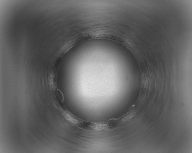 X0000062620670200601041007