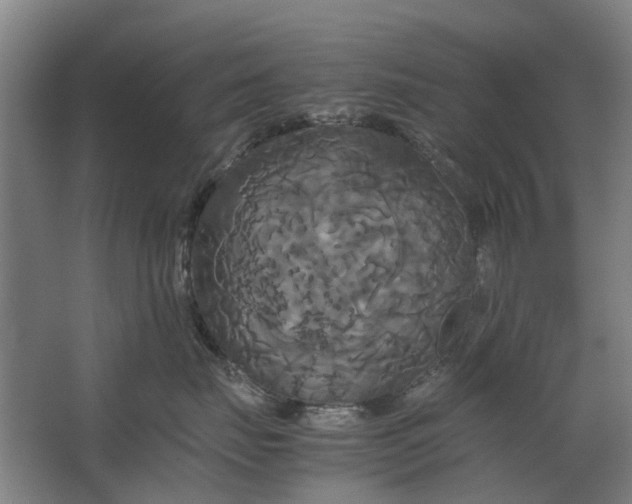 X0000062620671200601041007