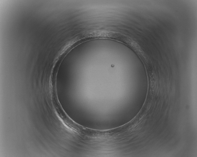 X0000062620674200601041006