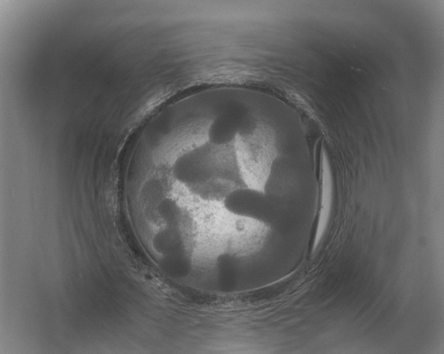 X0000062620675200601041006