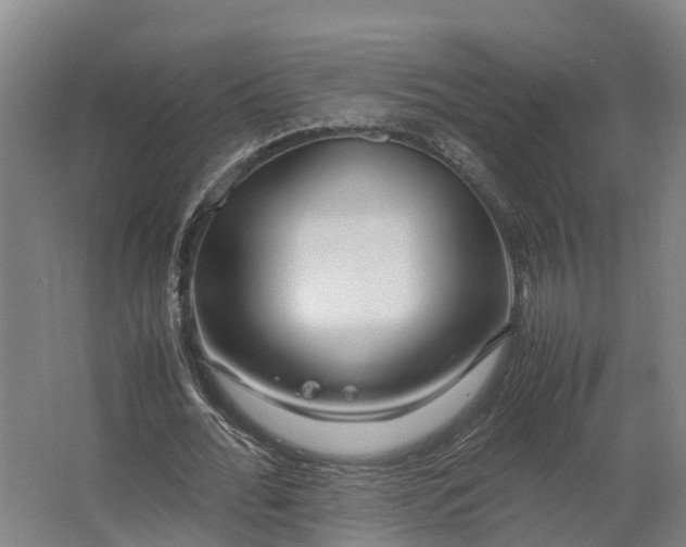 X0000062620676200601041006