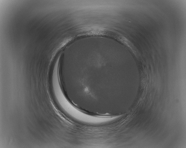 X0000062620677200601041006