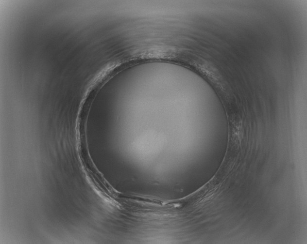 X0000062620678200601041006