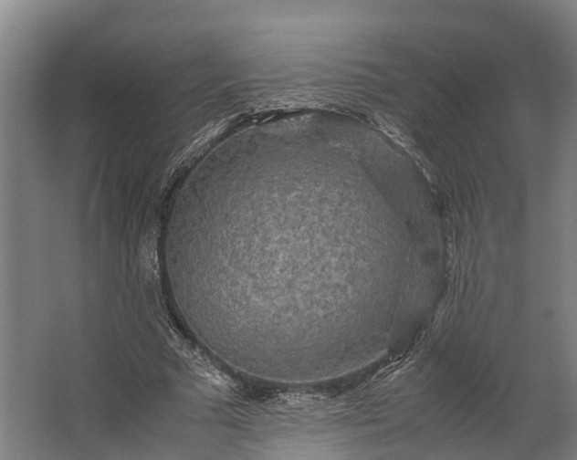 X0000062620681200601041006