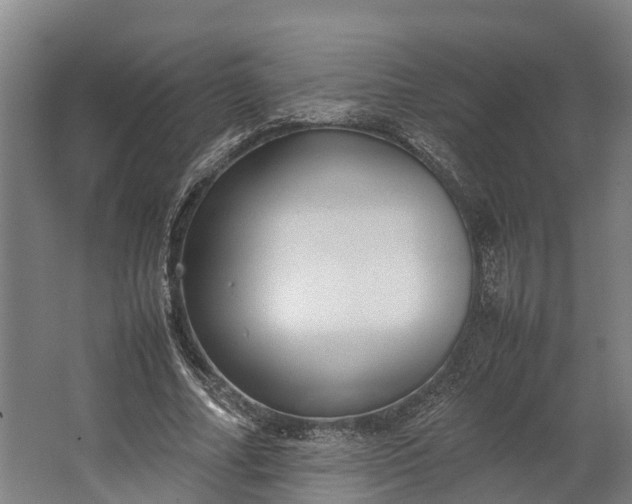 X0000062620682200601041006