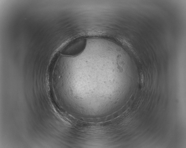 X0000062620684200601041006