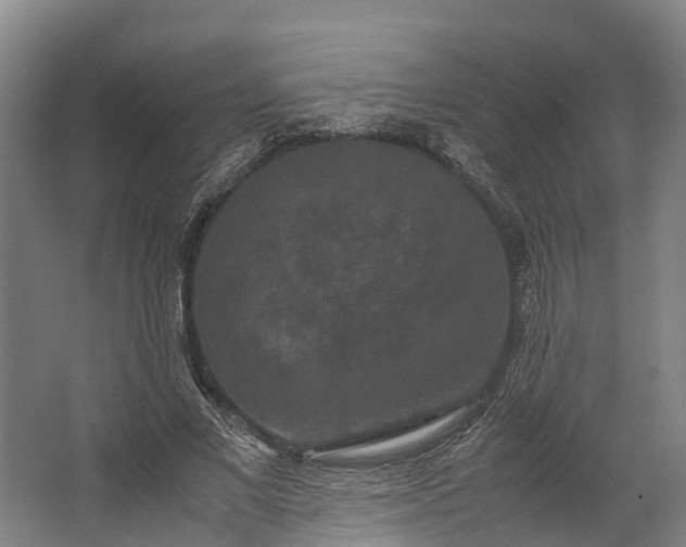 X0000062620685200601041006