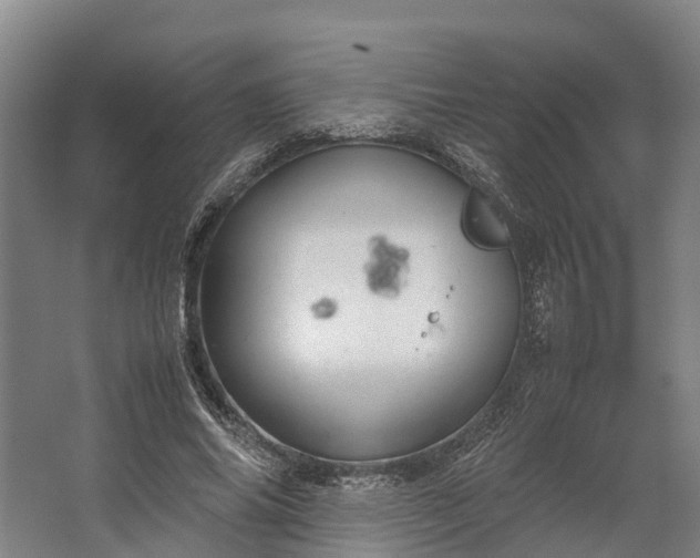 X0000062620686200601041006