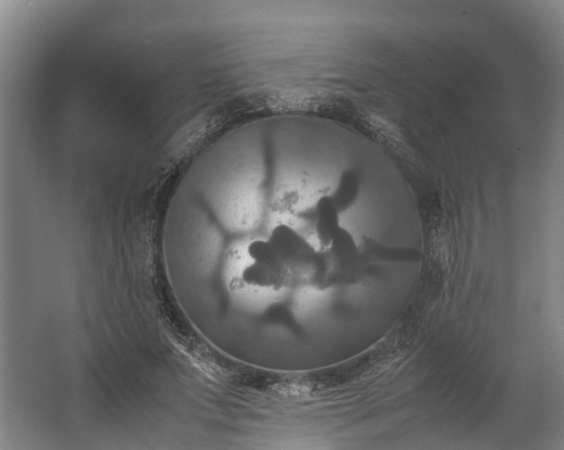 X0000062620687200601041006