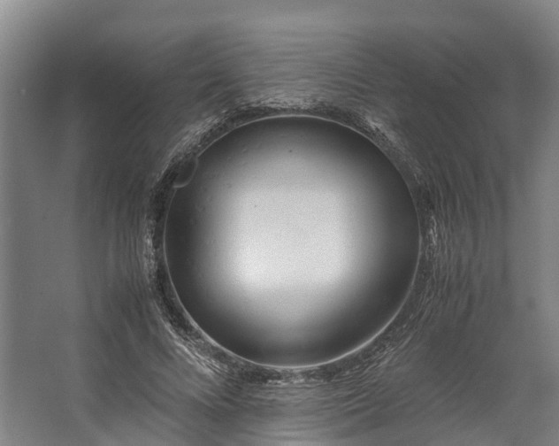 X0000062620688200601041006