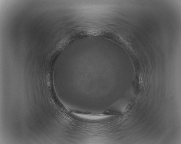 X0000062620689200601041006