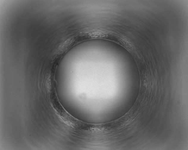 X0000062620690200601041005