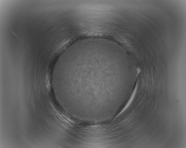 X0000062620692200601041005