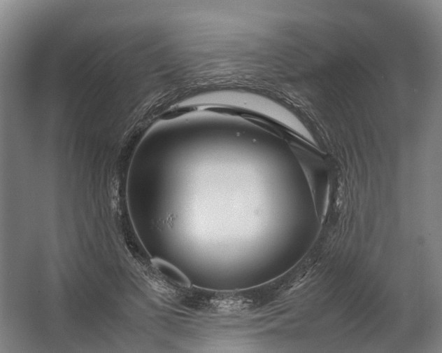 X0000062620693200601041005