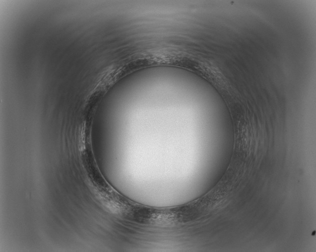 X0000062620694200601041005