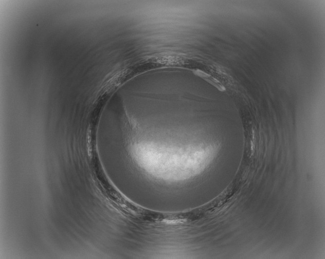 X0000062620696200601041005