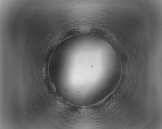 X0000062620697200601041005