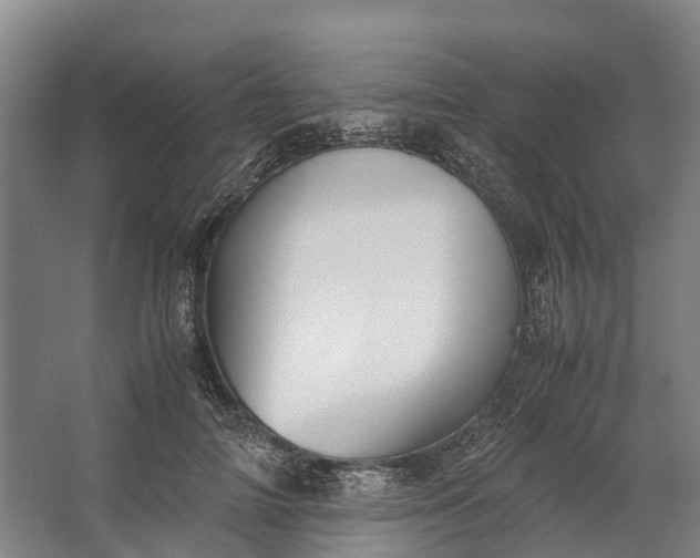 X0000062620698200601041005