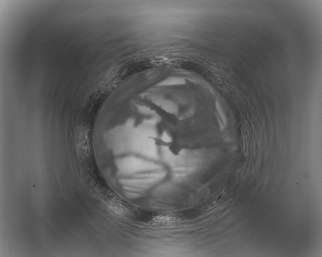 X0000062620699200601041005