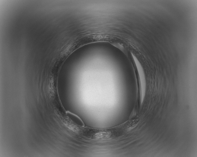 X0000062620700200601041005