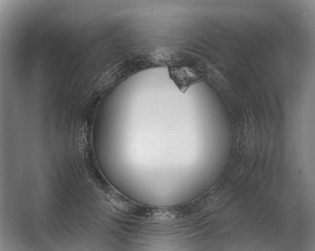 X0000062620702200601041005