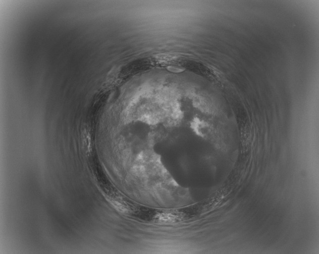 X0000062620703200601041005