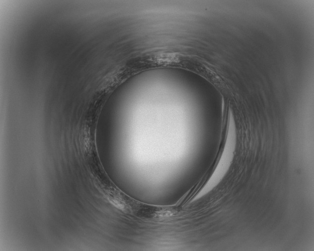 X0000062620704200601041005