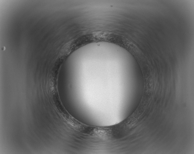 X0000062620706200601041005