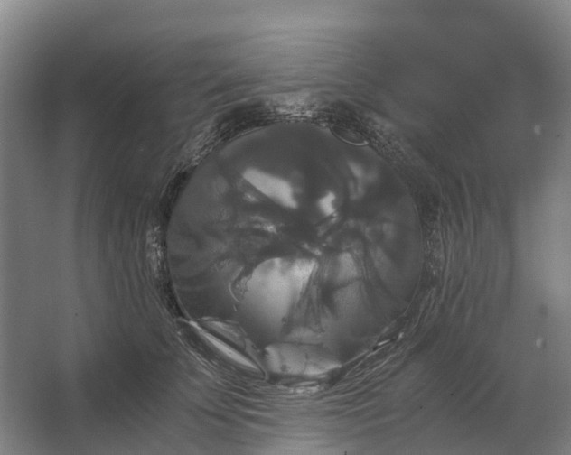 X0000062620707200601041005