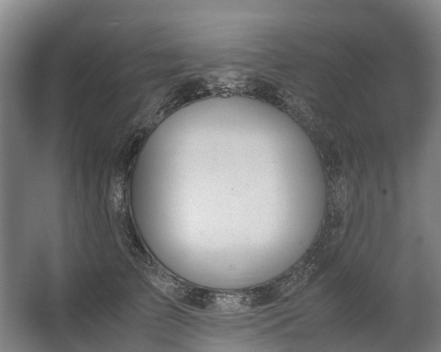 X0000062620709200601041005