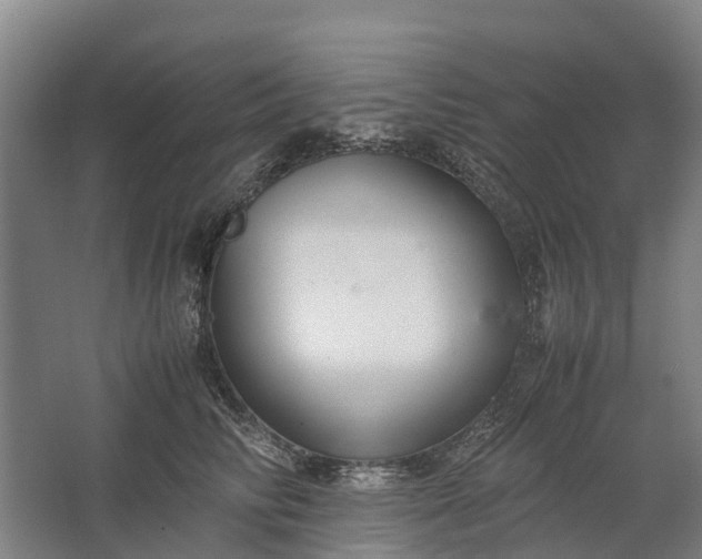 X0000062620710200601041005