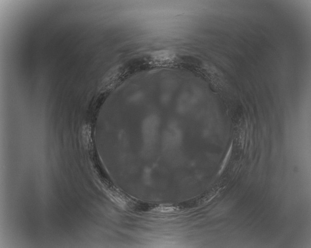 X0000062620711200601041005