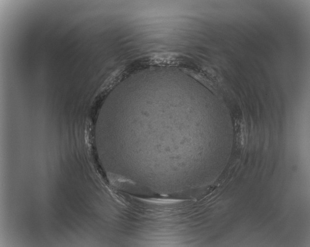 X0000062620712200601041005