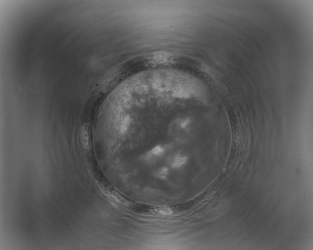 X0000062620715200601041005