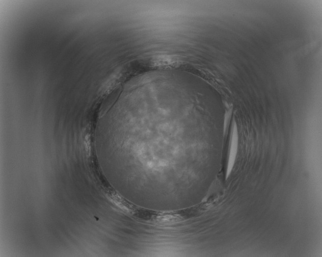 X0000062620716200601041005