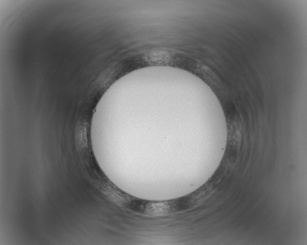 X0000062620717200601041005