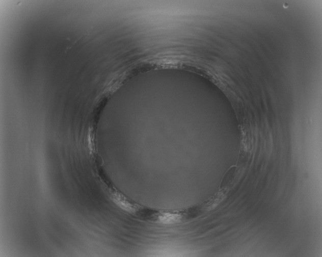 X0000062620718200601041005