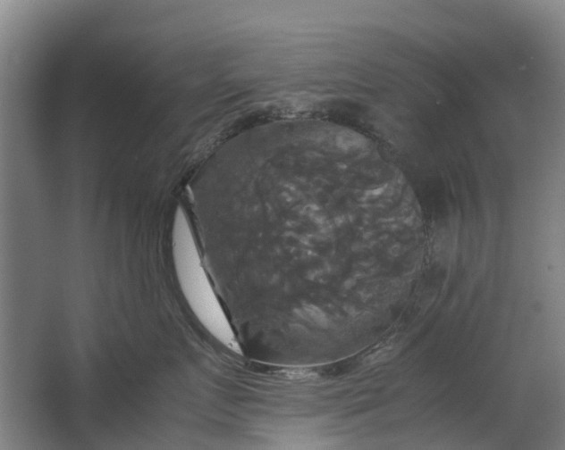 X0000062620719200601041005