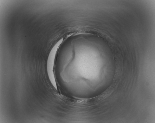 X0000062620720200601041005